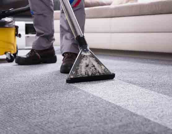 Professional Carpet Cleaning Highfields